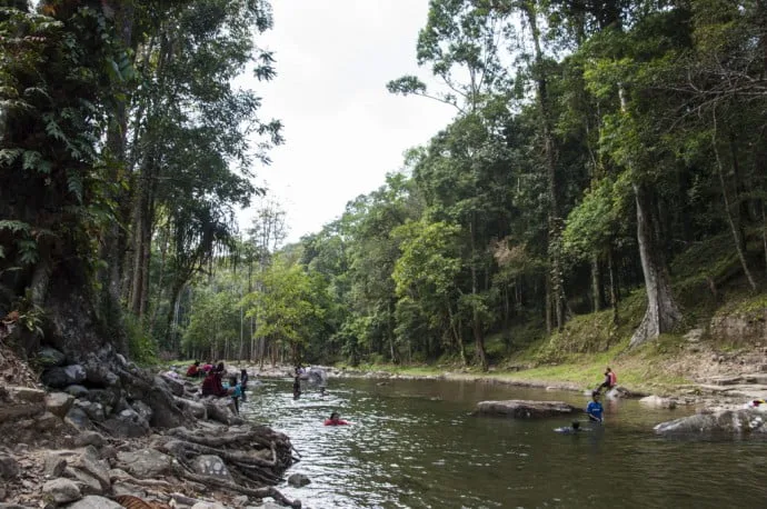 Thung Song - Namtok Yong National Park