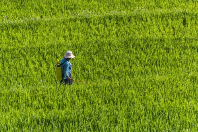 rice fields north Vietnam - Bac Ha - Vinh Quang