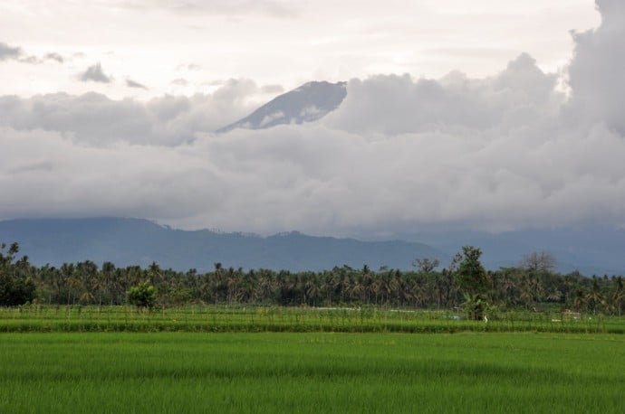 paysage borobudur ile java indonesie