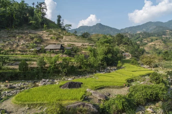 rice fields north Vietnam - road between Vinh Quang and Ha Giang
