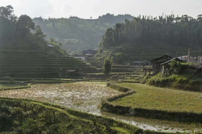 rice fields north Vietnam - road between Vinh Quang and Ha Giang