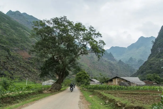 motorbike north Vietnam - road between Ha Giang and Dong Van