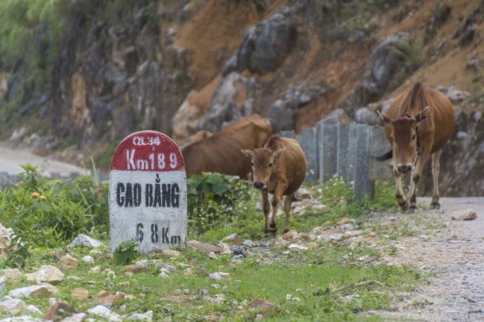 moto nord Vietnam - trajet Bao Lac - Cao Bang