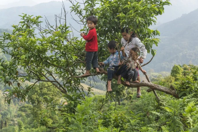 children north Vietnam - road between Vinh Quang and Ha Giang