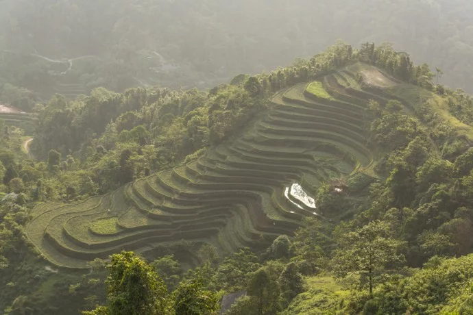rice fields north Vietnam - road between Vinh Quang and Ha Giang