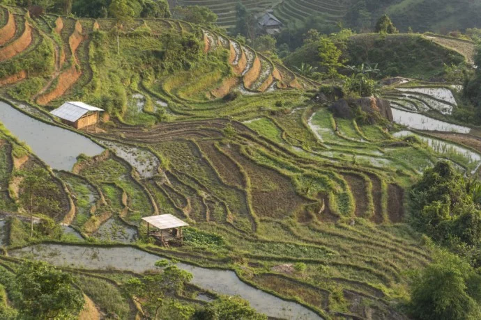 rice fields north Vietnam - road between Vinh Quang and Ha Giang