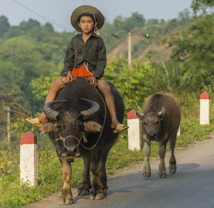 Mes fesses fatiguent entre Bao Lac et Cao Bang