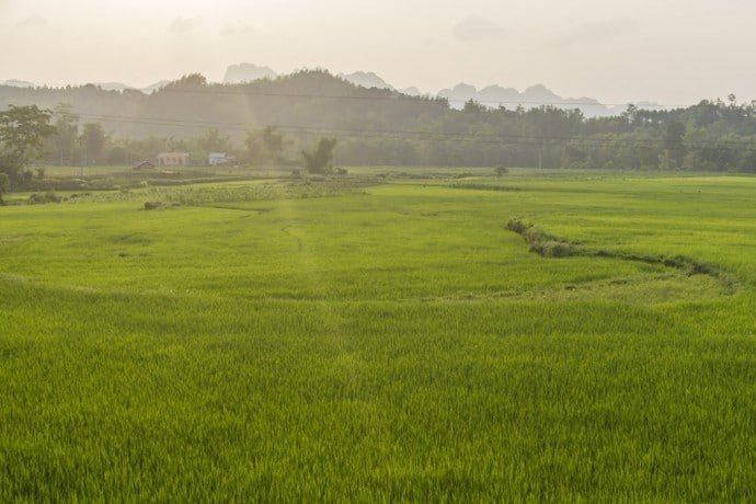 moto nord Vietnam - rizieres Cao Bang