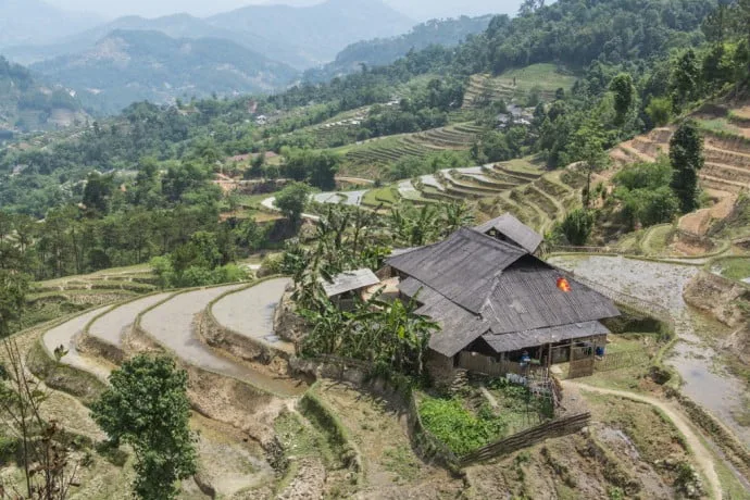 rice fields north Vietnam - road between Vinh Quang and Ha Giang