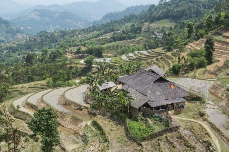 rizieres nord Vietnam - route entre Vinh Quang et Ha Giang
