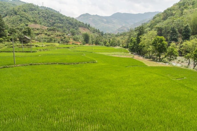 moto nord Vietnam - riziere pres de Bao Lac