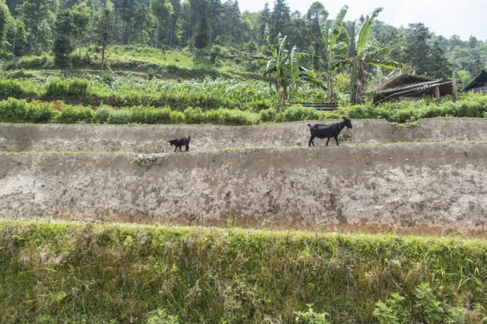 North Vietnam - road near the Chinese border
