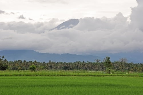 cover java indonesie manque