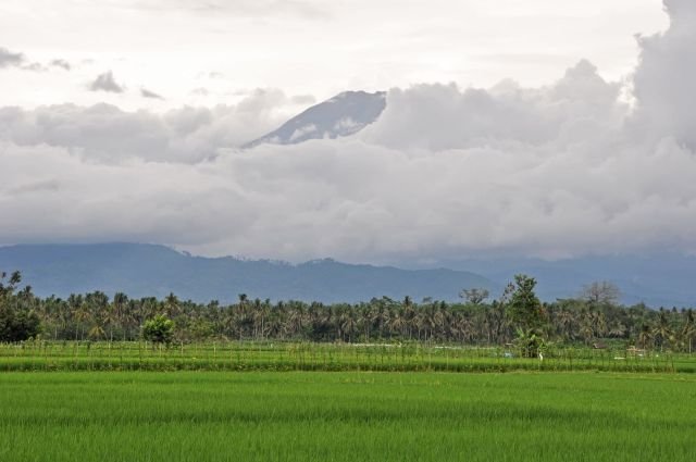 cover java indonesie manque