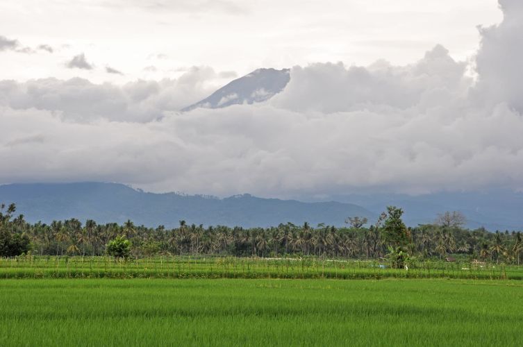 cover java indonesie manque