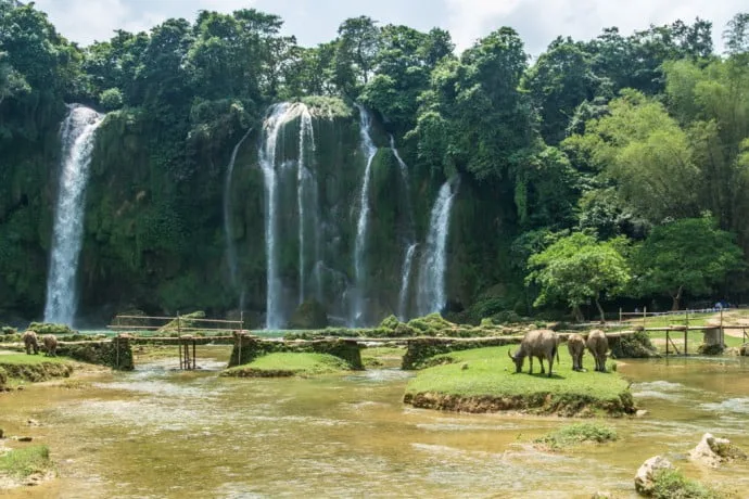 Ban Gioc Falls - Vietnam