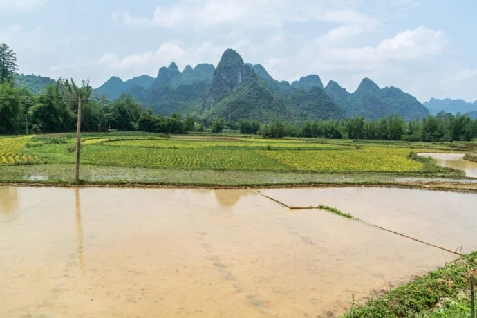 near ban gioc falls vietnam