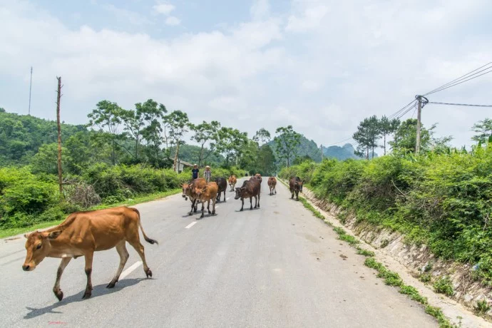 Cao Bang province road