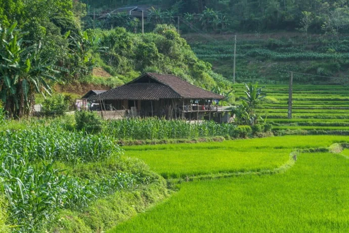 rice fields between Cao Bang - Bac Son - north Vietnam