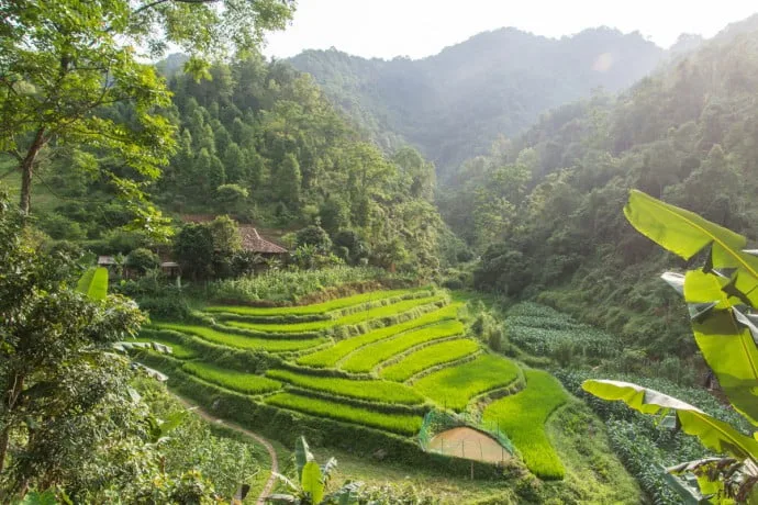 rice fields between Cao Bang - Bac Son - north Vietnam
