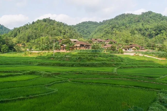 rice fields between Cao Bang - Bac Son - north Vietnam