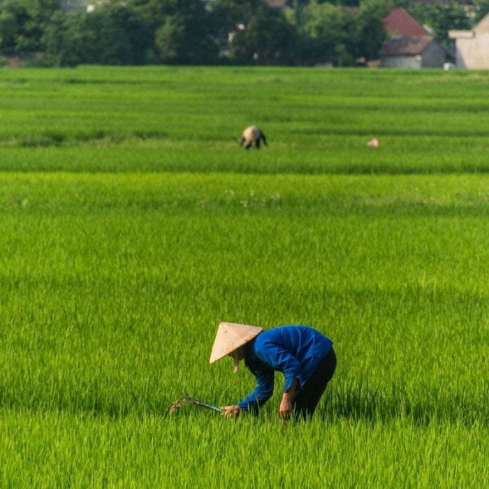 En route vers Lang Son, ou presque…