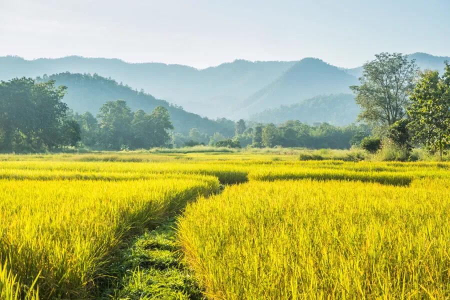 landscape road trip thailand