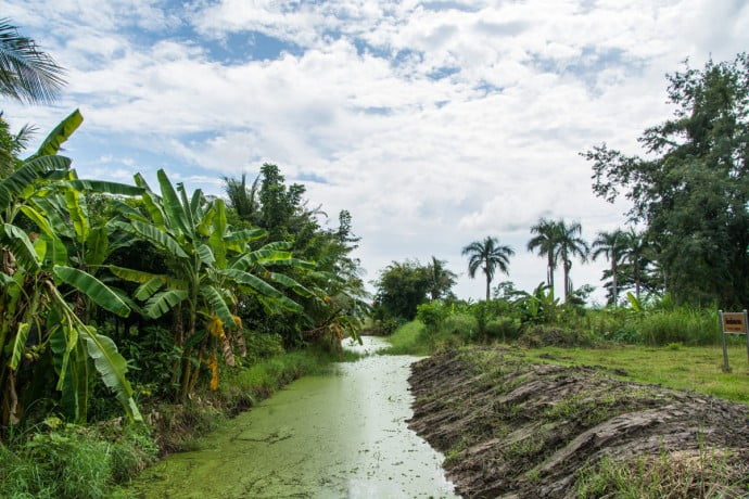 countryside area nakhon chum kamphaeng-phet-thailand