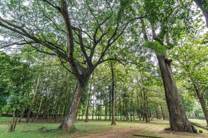 Kamphaeng Phet - parc historique - Thailande