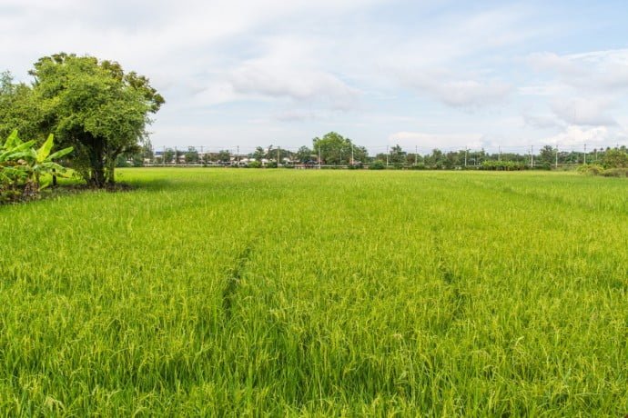 Kamphaeng Phet - parc historique - Thaïlande 43