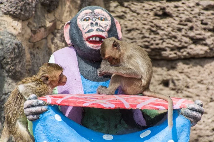 Lopburi - monkey city - Thailand