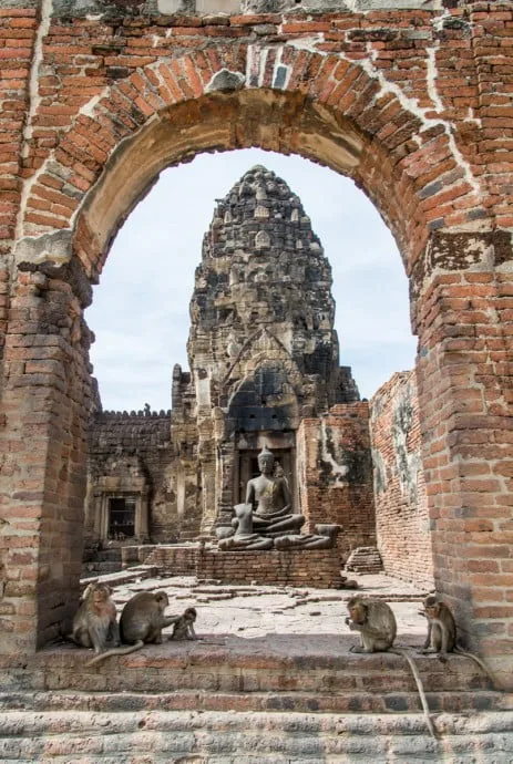 Lopburi - monkey city - Thailand