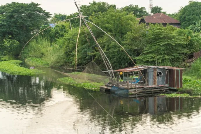 Lopburi - monkey city - Thailand