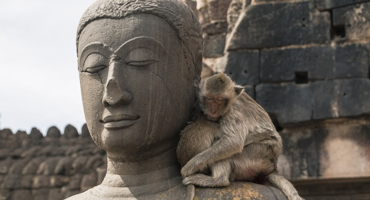 Lopburi - ville singes - Thailande