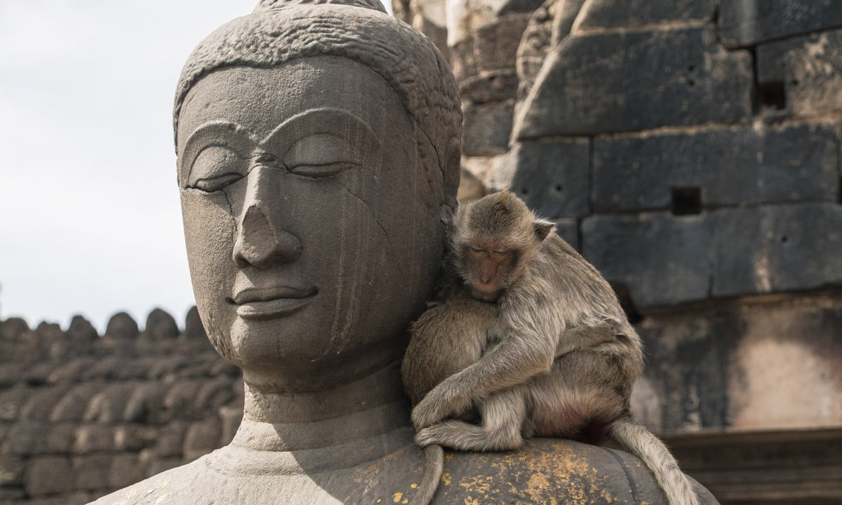 Lopburi - ville singes - Thailande