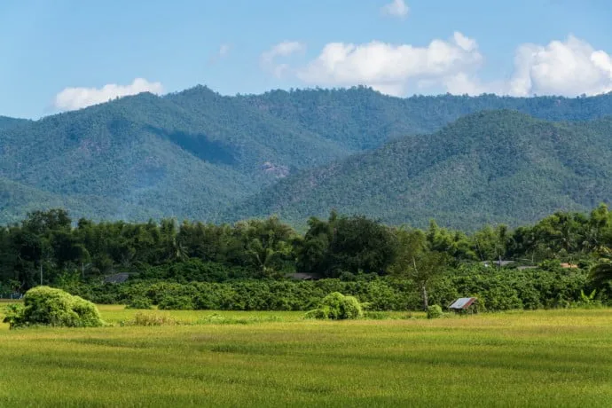 Chiang Dao - Chiang Mai - Thailand