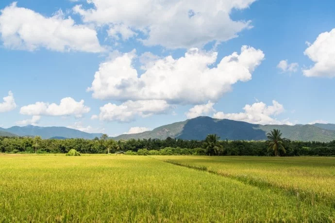 Chiang Dao - Chiang Mai Thailand