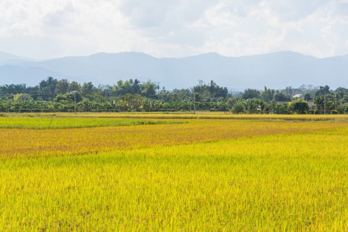Chiang Dao - Chiang Mai Thailande