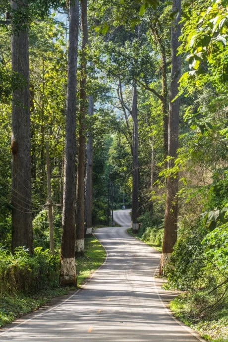 Chiang Dao mountain - Thailand