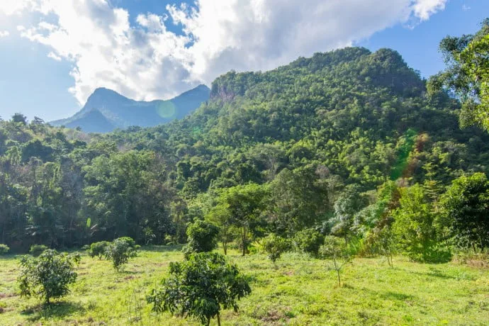 Chiang Dao mountain - Thailand