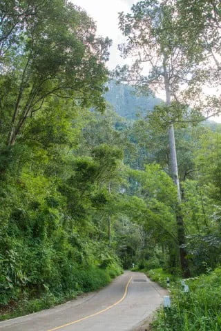 Chiang Dao mountain - Thailand