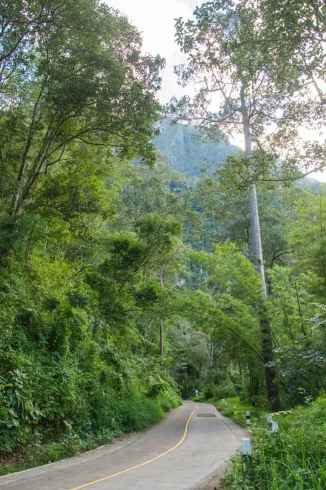 Chiang Dao mountain - Thailand