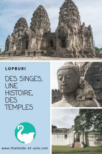 pinterest monkeys lopburi thailand