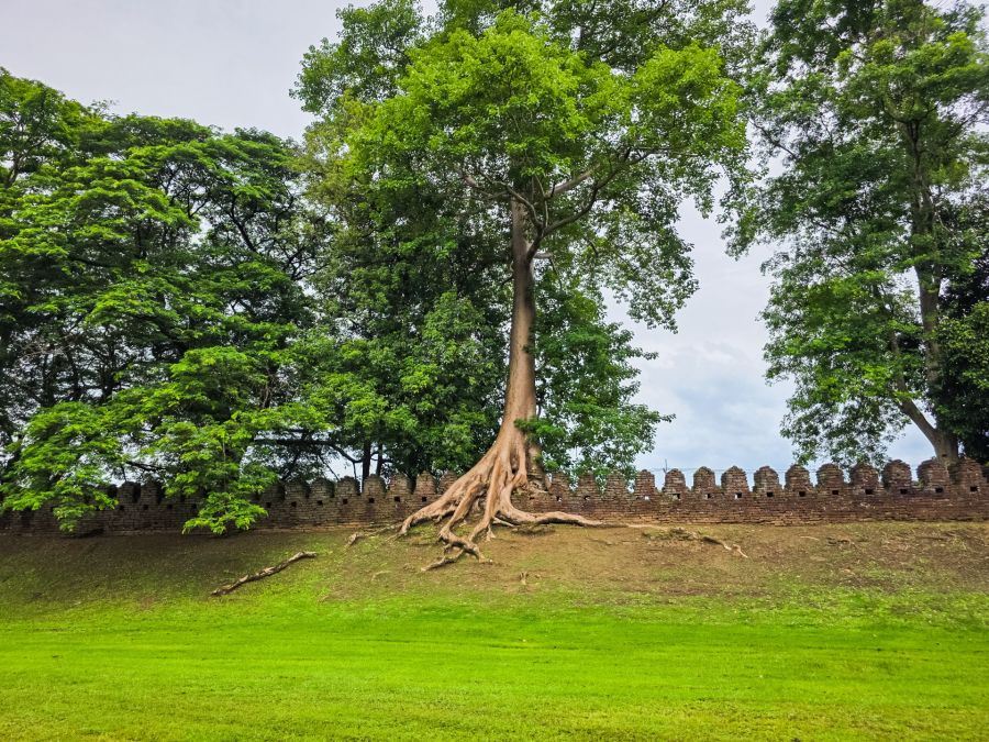 ancient city wall, Kamphaeng Phet historical park, Thailand