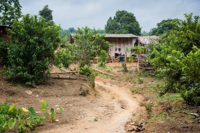 other mountain tribe village chiang dao - thailand