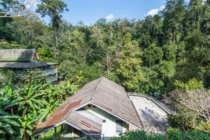 wat tham pha plong chiang dao temple - thailand