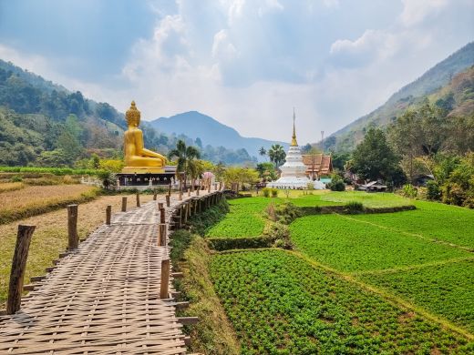 Buddha statue and temple in the heart of the mountains