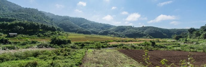 paysage Luang Namtha - Laos