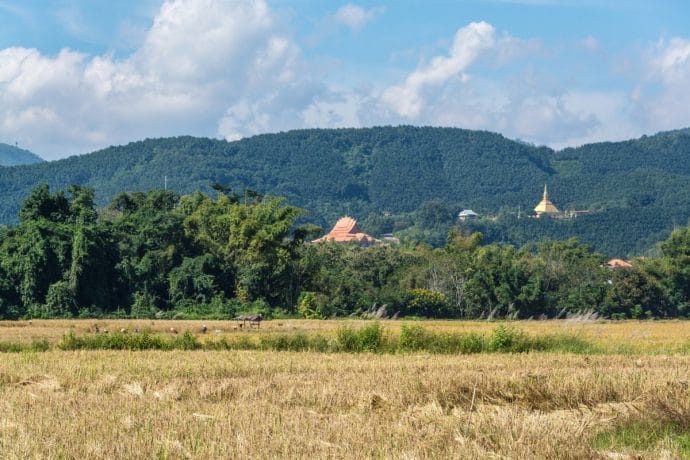 paysage Luang Namtha - Laos
