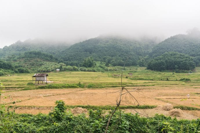 paysage Luang Namtha - Laos